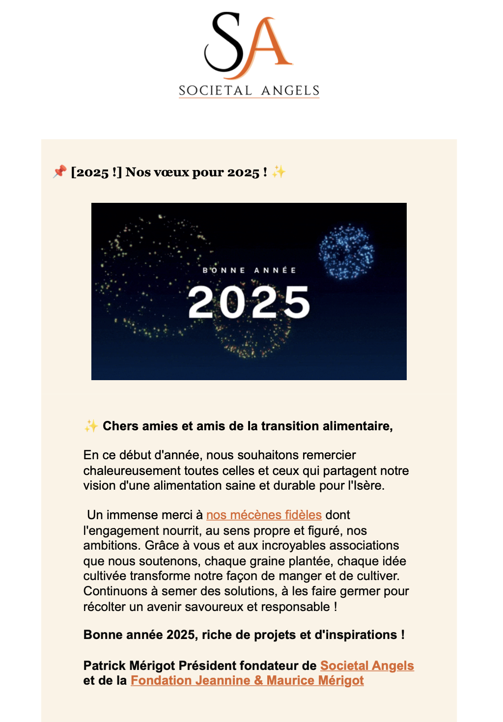 Aperçu de l'infolettre envoyée en février 2024 par Societal Angels