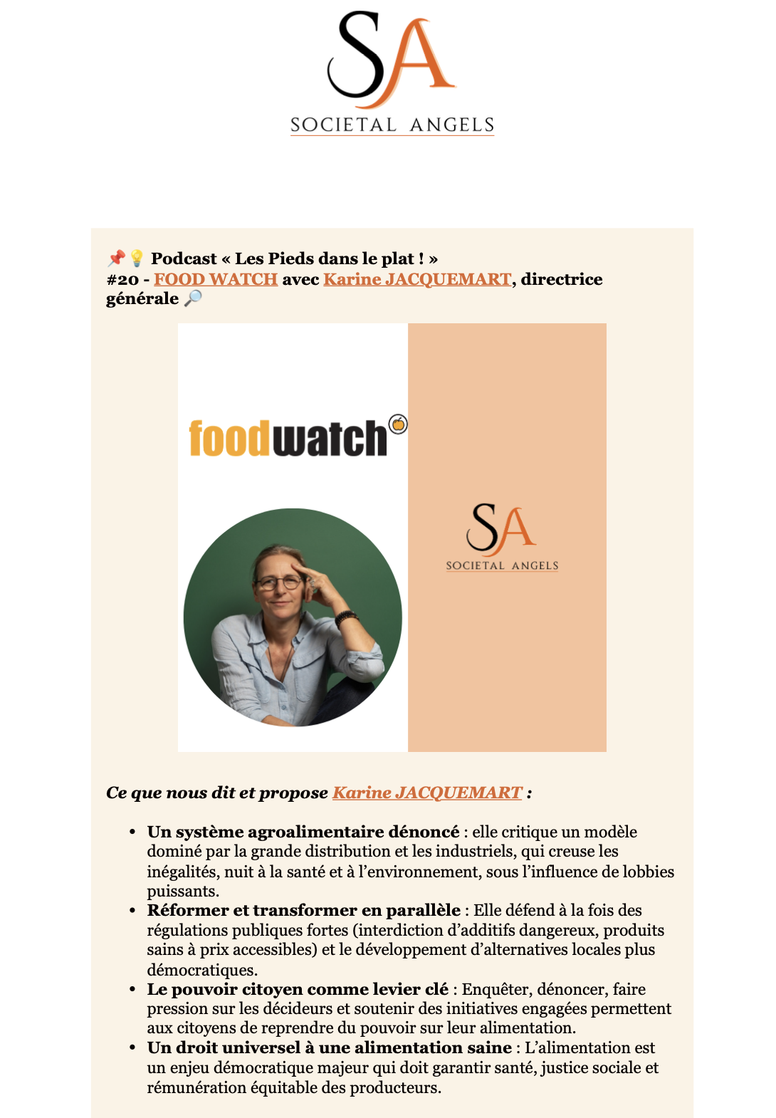 Aperçu de l'infolettre envoyée en février 2024 par Societal Angels